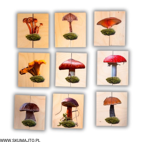 Projekt bez nazwy - 2025-09-08T200834.434.jpg