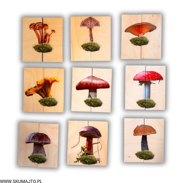 Projekt bez nazwy - 2025-09-08T200834.434.jpg