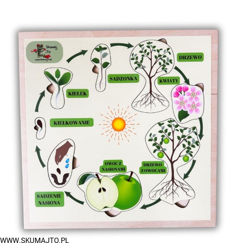 Projekt bez nazwy - 2025-09-24T110807.928.jpg