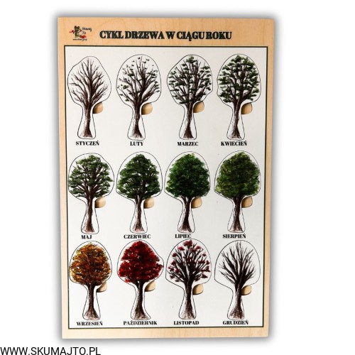 Projekt bez nazwy - 2025-09-24T110725.327.jpg