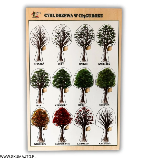 Projekt bez nazwy - 2025-09-24T110725.327.jpg