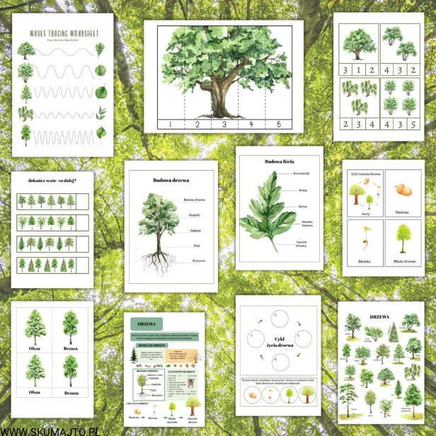 Projekt bez nazwy - 2025-09-24T114730.652.jpg