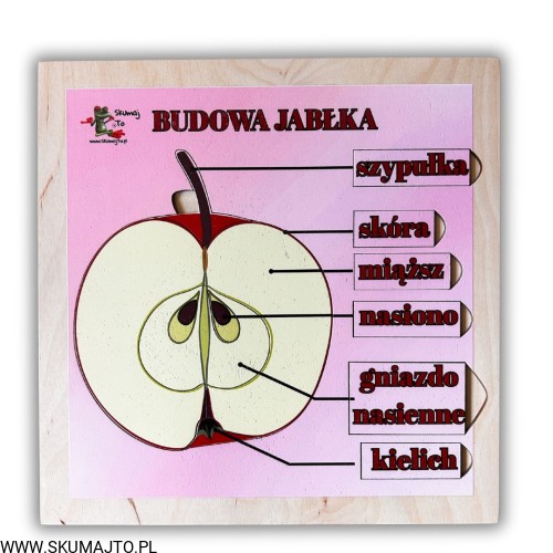 Projekt bez nazwy - 2025-09-24T110838.356.jpg