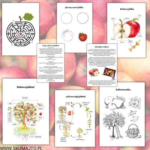 Projekt bez nazwy - 2025-09-24T113249.378.jpg