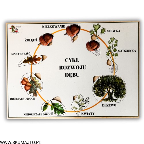 Projekt bez nazwy - 2025-09-24T110641.593.jpg