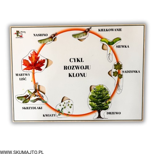 Projekt bez nazwy - 2025-09-24T110617.716.jpg