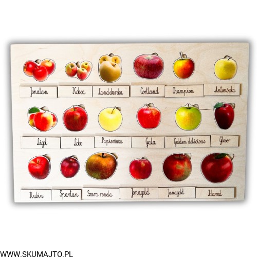 Projekt bez nazwy - 2025-09-24T110542.388.jpg