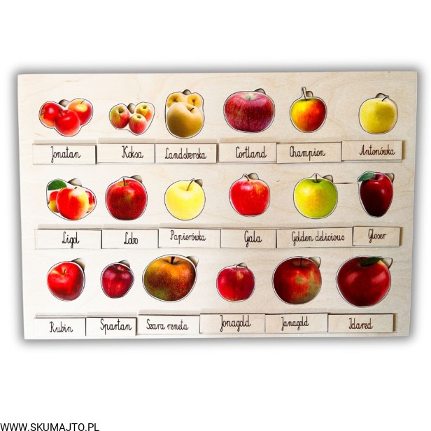 Projekt bez nazwy - 2025-09-24T110542.388.jpg