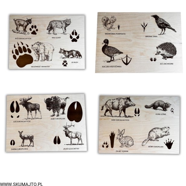 Projekt bez nazwy - 2025-09-24T111245.594.jpg