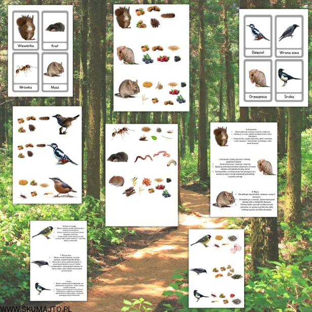 Projekt bez nazwy - 2025-09-24T122716.071.jpg