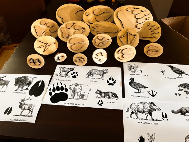 IMG_0454 — kopia.JPG