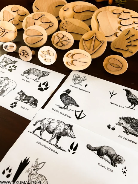 IMG_0455 — kopia.JPG