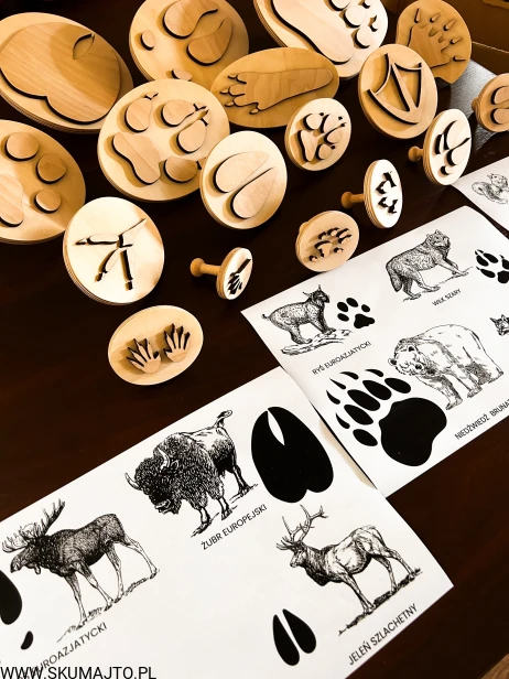 IMG_0456 — kopia.JPG