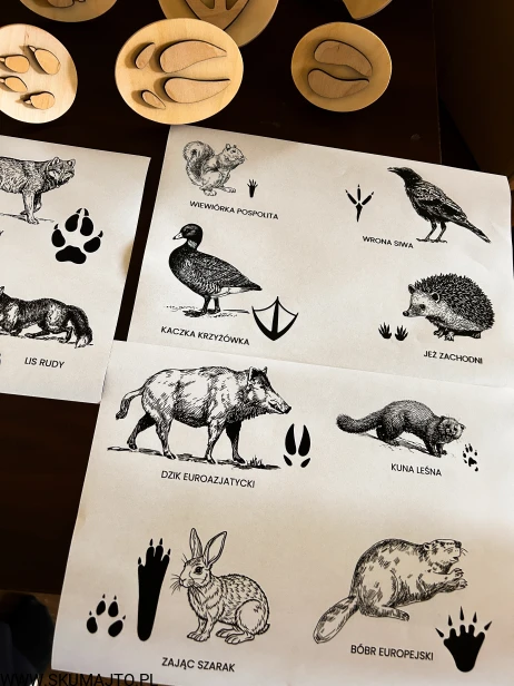 IMG_0458 — kopia.JPG