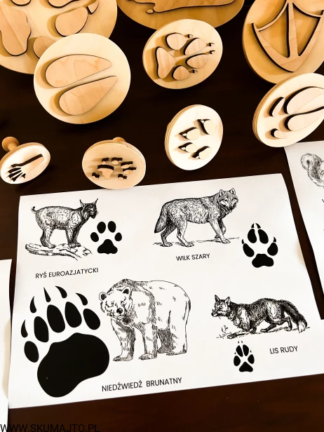 IMG_0459 — kopia.JPG