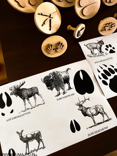 IMG_0460 — kopia.JPG