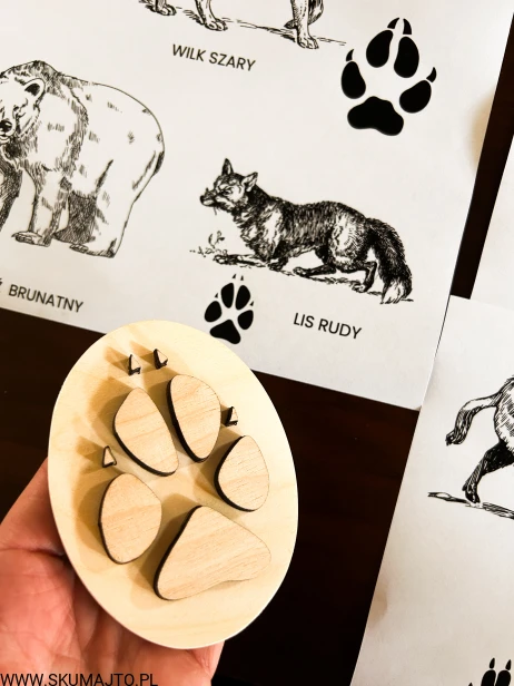 IMG_0462 — kopia.JPG