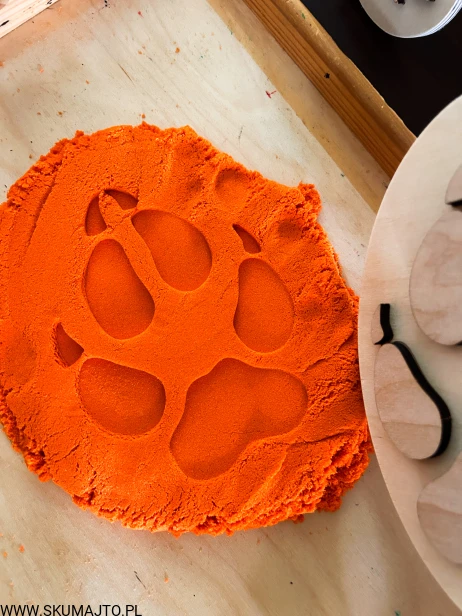 IMG_0469 — kopia (2).JPG