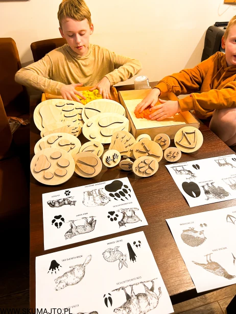 IMG_0740 — kopia.JPG