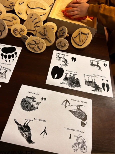 IMG_0744 — kopia.JPG