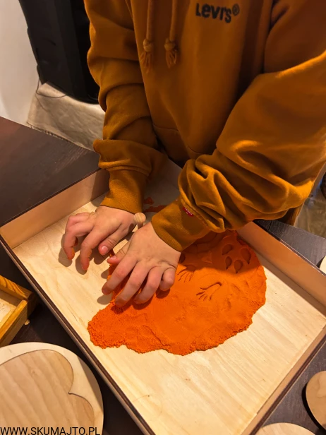 IMG_0783 — kopia (2).JPG