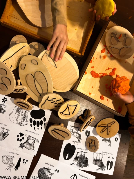 IMG_0820 — kopia.JPG