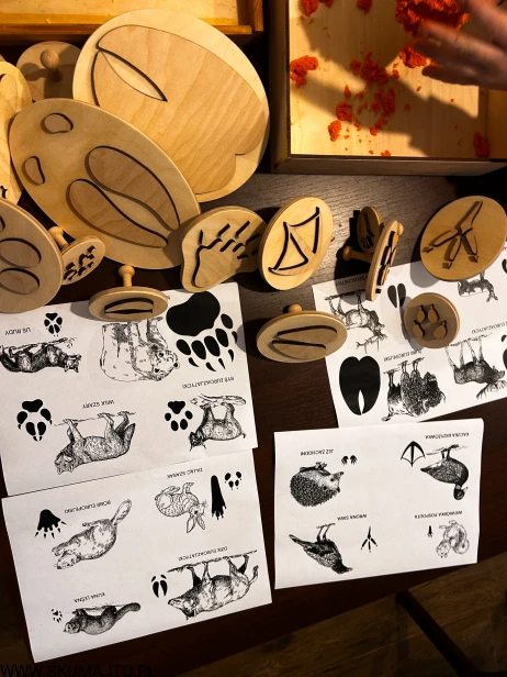 IMG_0824 — kopia.JPG