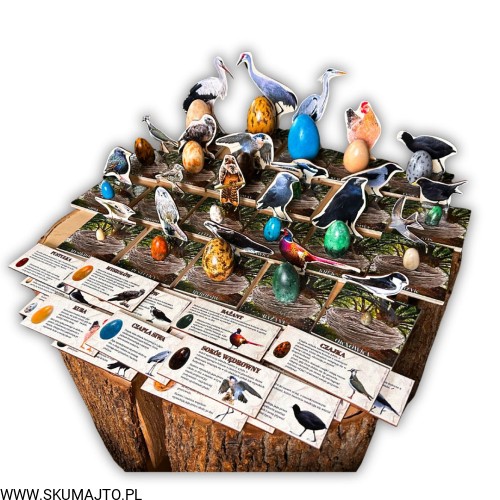 38 kart w wersji pdf (14).jpg