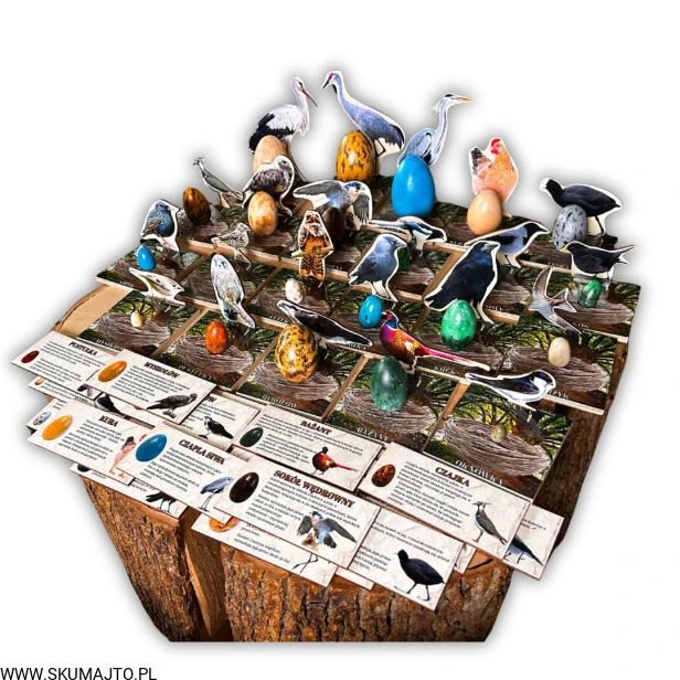 38 kart w wersji pdf (14).jpg