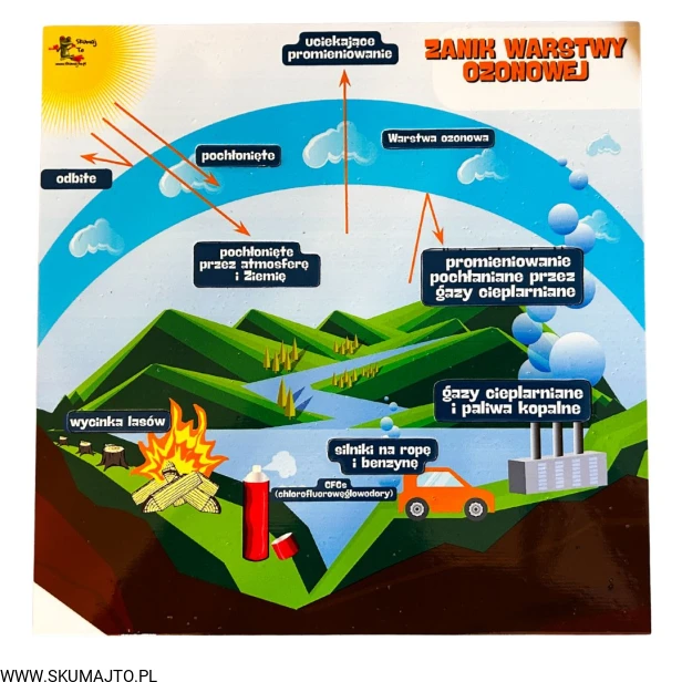 38 kart w wersji pdf (17).jpg