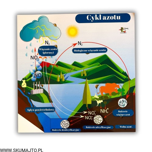 38 kart w wersji pdf (19).jpg
