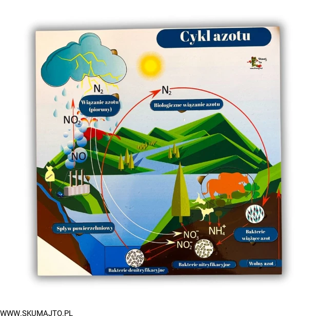 38 kart w wersji pdf (19).jpg