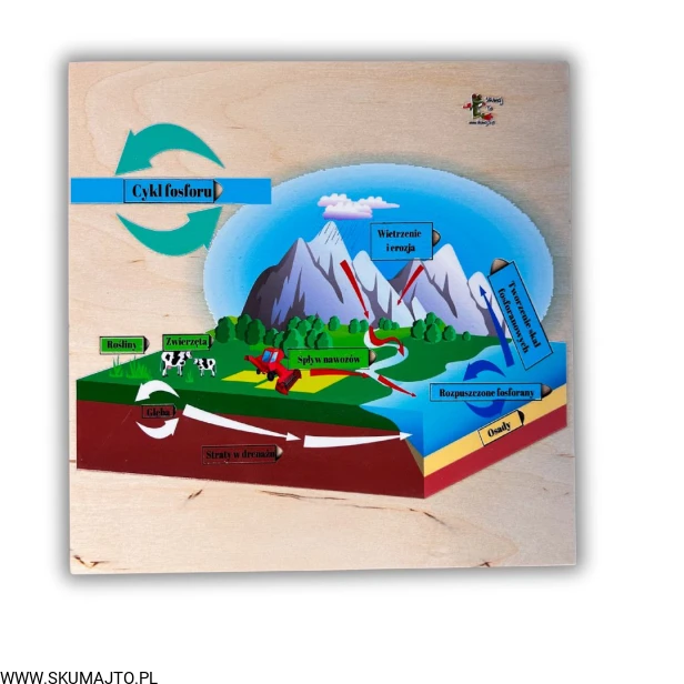 38 kart w wersji pdf (25).jpg