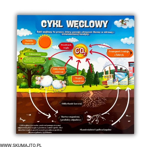 38 kart w wersji pdf (24).jpg