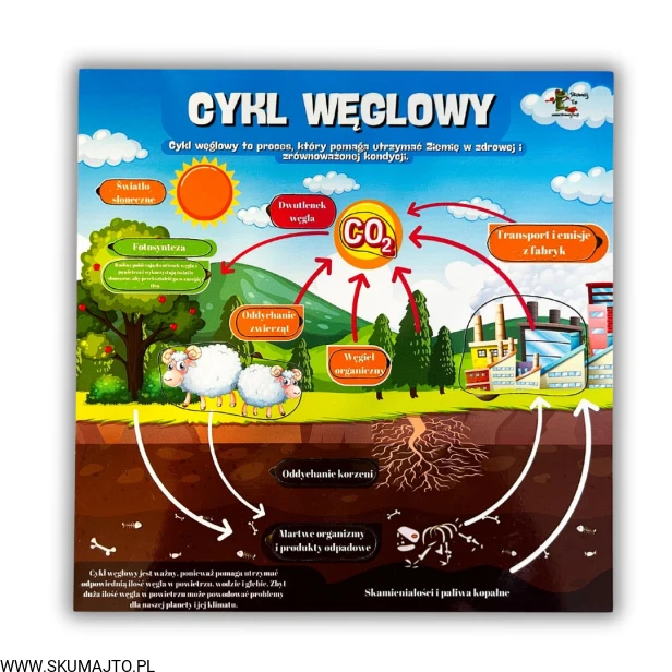 38 kart w wersji pdf (24).jpg