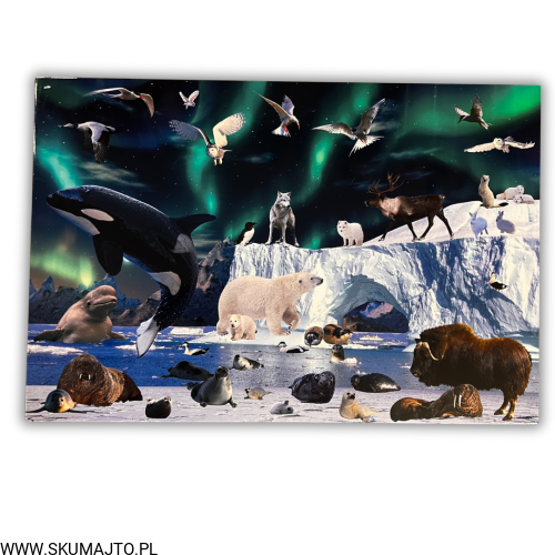 38 kart w wersji pdf.png