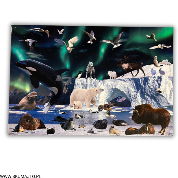 38 kart w wersji pdf.png