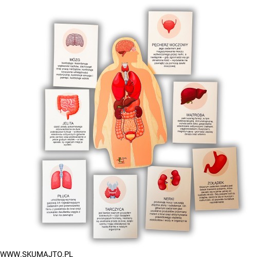 Projekt bez nazwy - 2025-12-06T161249.612.jpg