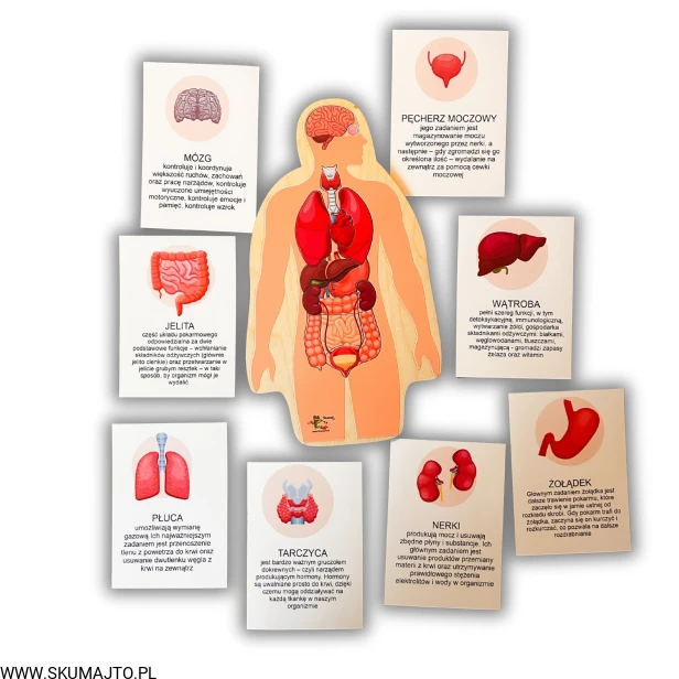 Projekt bez nazwy - 2025-12-06T161249.612.jpg