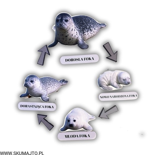 Projekt bez nazwy - 2025-12-06T161355.163.jpg