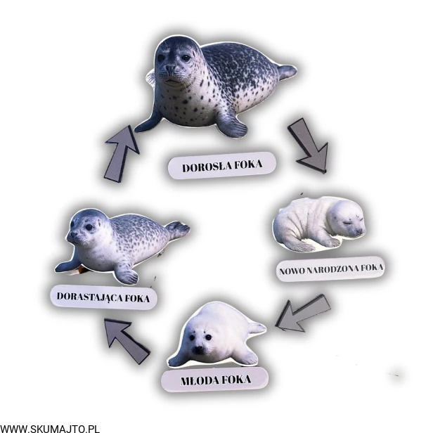 Projekt bez nazwy - 2025-12-06T161355.163.jpg