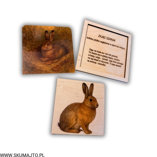 Projekt bez nazwy - 2025-12-06T164052.776.jpg