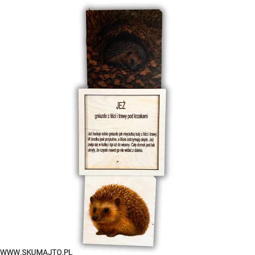 Projekt bez nazwy - 2025-12-06T161943.321.jpg