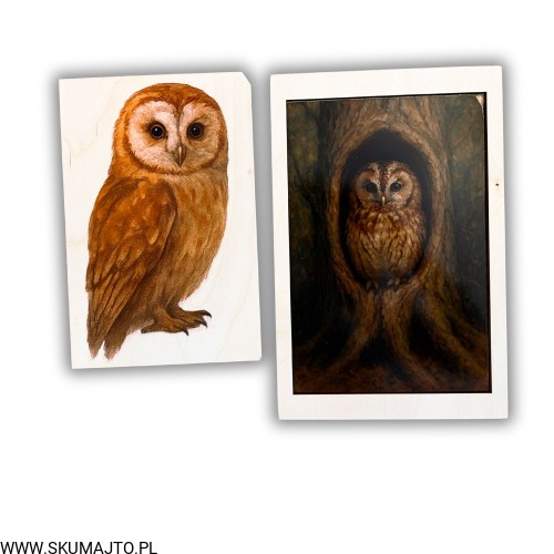 Projekt bez nazwy - 2025-12-06T162249.133.jpg