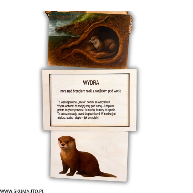 Projekt bez nazwy - 2025-12-06T162038.322.jpg