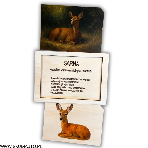 Projekt bez nazwy - 2025-12-06T161831.466.jpg