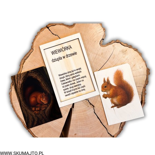 Projekt bez nazwy - 2025-12-06T161650.673.jpg