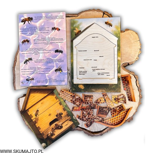 Projekt bez nazwy - 2025-12-06T161438.444.jpg