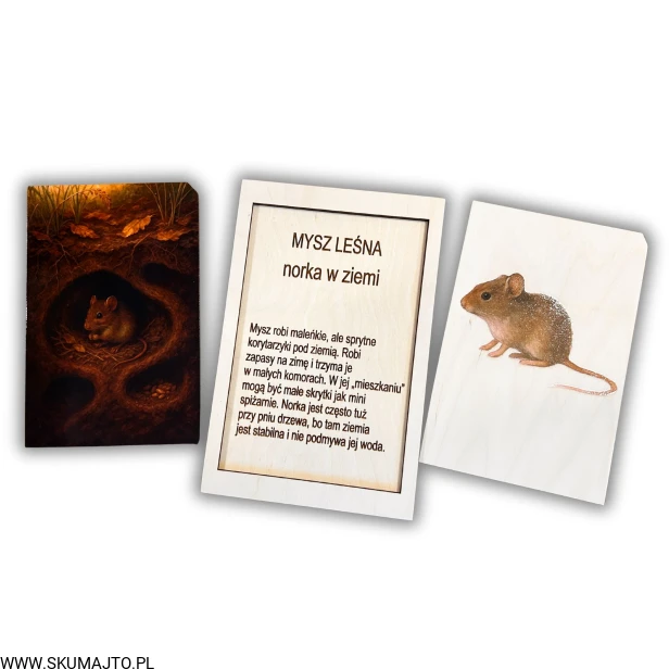 Projekt bez nazwy - 2025-12-06T161614.423.jpg