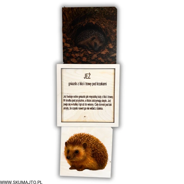 Projekt bez nazwy - 2025-12-06T161943.321.jpg